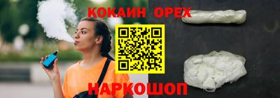 гидра Брянск