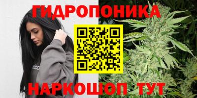 дмт Братск