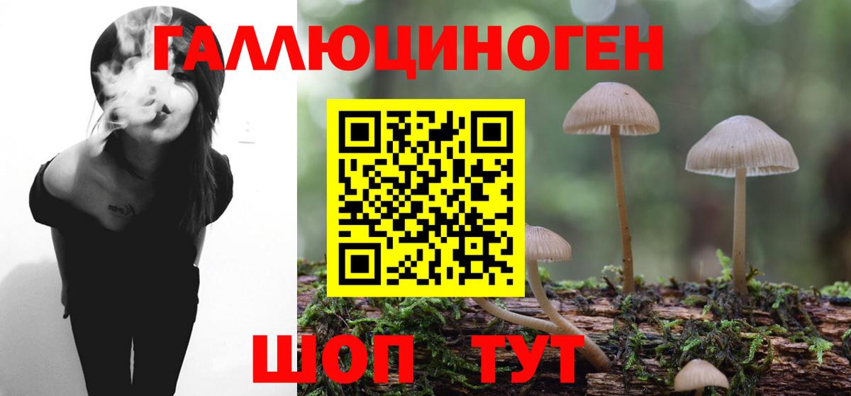 Псилоцибиновые грибы Cubensis  Вход с VPN  Видное 